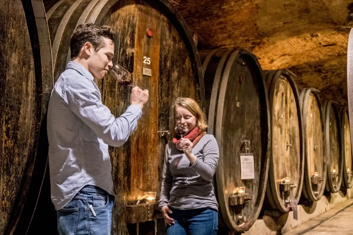 Dégustation de vins dans une cave traditionnelle de la Forêt-Noire