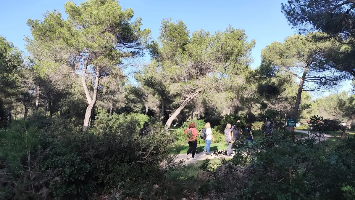 La Foulée Zontienne Martégale