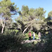 La Foulée Zontienne Martégale