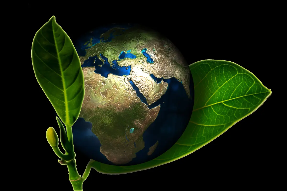 La Fresque du Climat : Comprendre et Agir