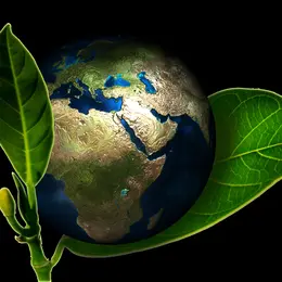 La Fresque du Climat : Comprendre et Agir