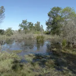 La gestion écologique des lagunes