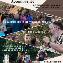 “la Gestion forestière et les enjeux climatiques en forêt domaniale de Caumont”