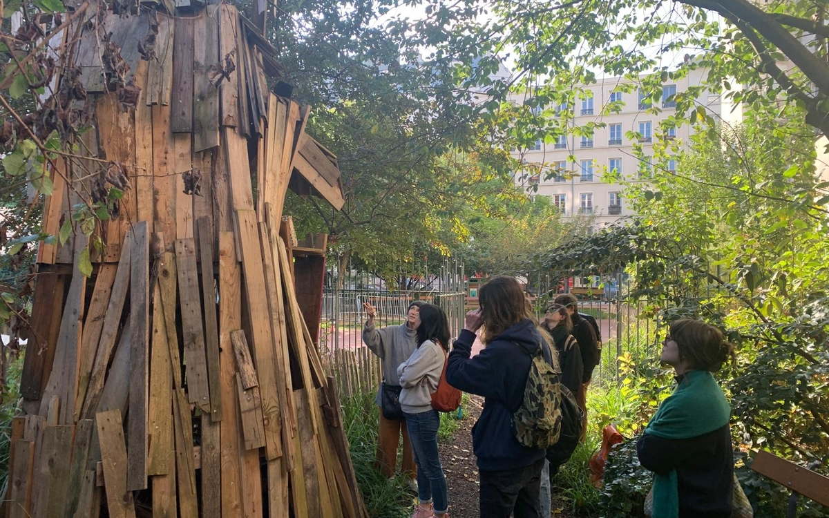 jardin partégé avec une cabane