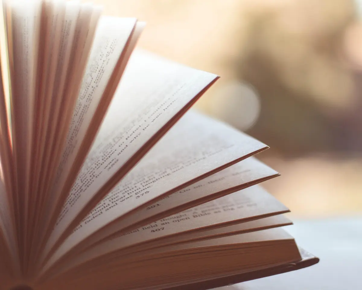 La grande braderie Lire et faire lire