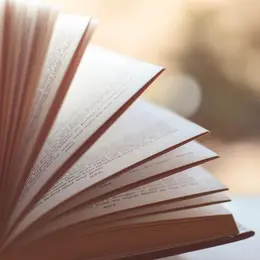 La grande braderie Lire et faire lire