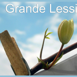 La Grande Lessive