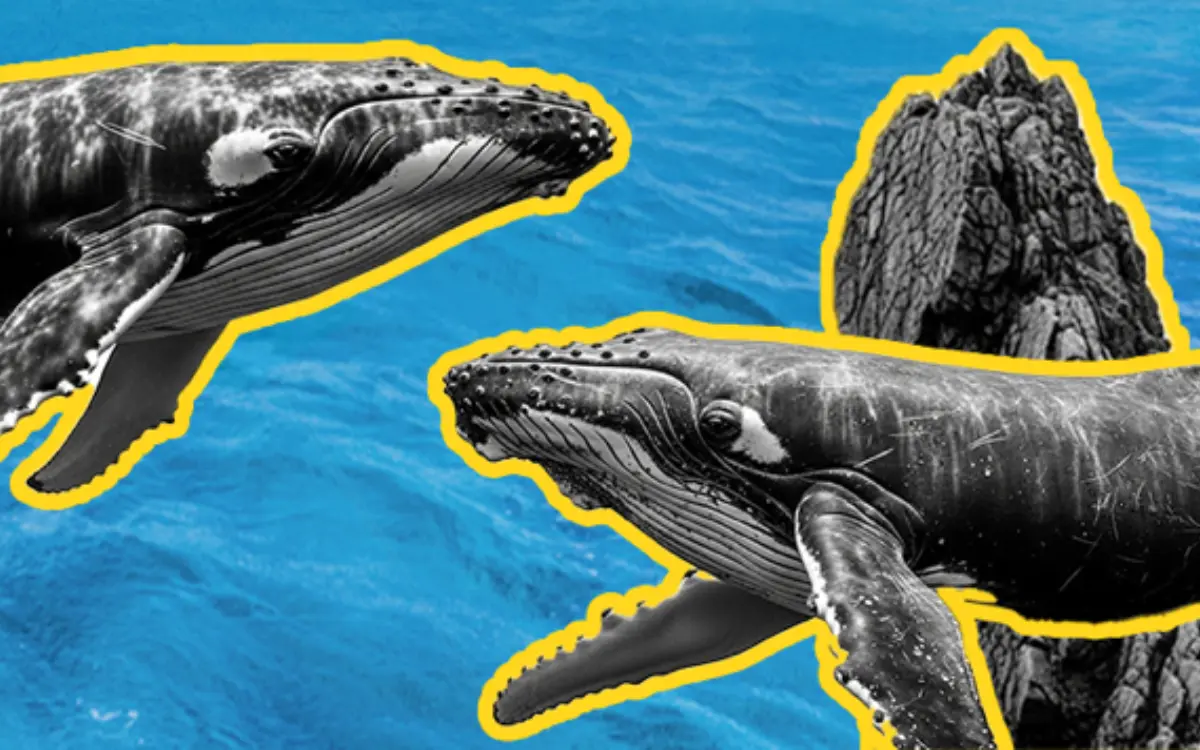 La Grande Marée - Le festival de la mer et des marins