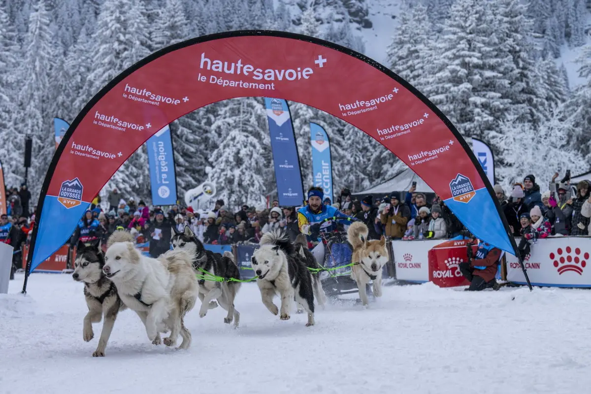 La Grande Odyssée : course de chiens de traineaux 