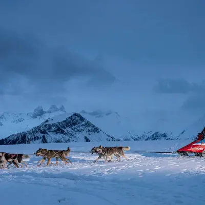 La Grande Odyssée 2026