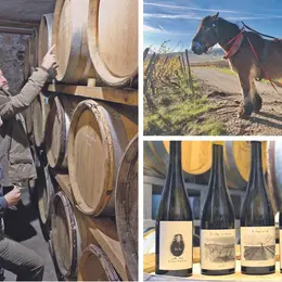 La Grange de l'Oncle Charles : le charpentier qui bâtissait de grands vins