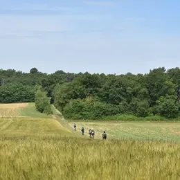 La Gravienne
