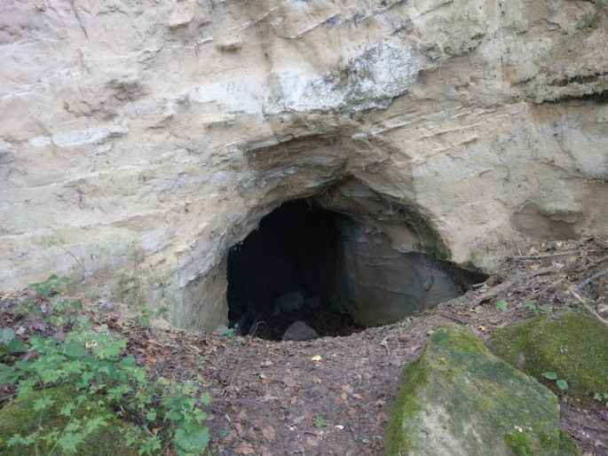La grotte des chauves souris à Heidwiller