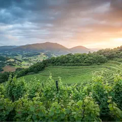 La guinguette des vignerons