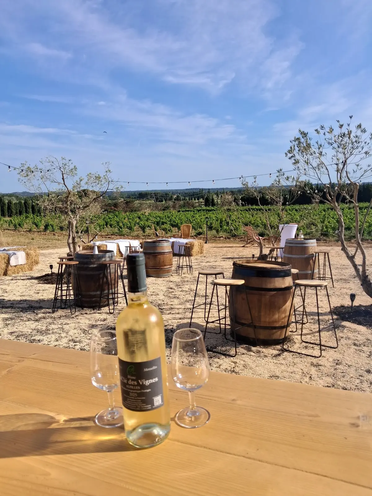 La guinguette du Vigneron « Ma Clé des Vignes » à Maussane