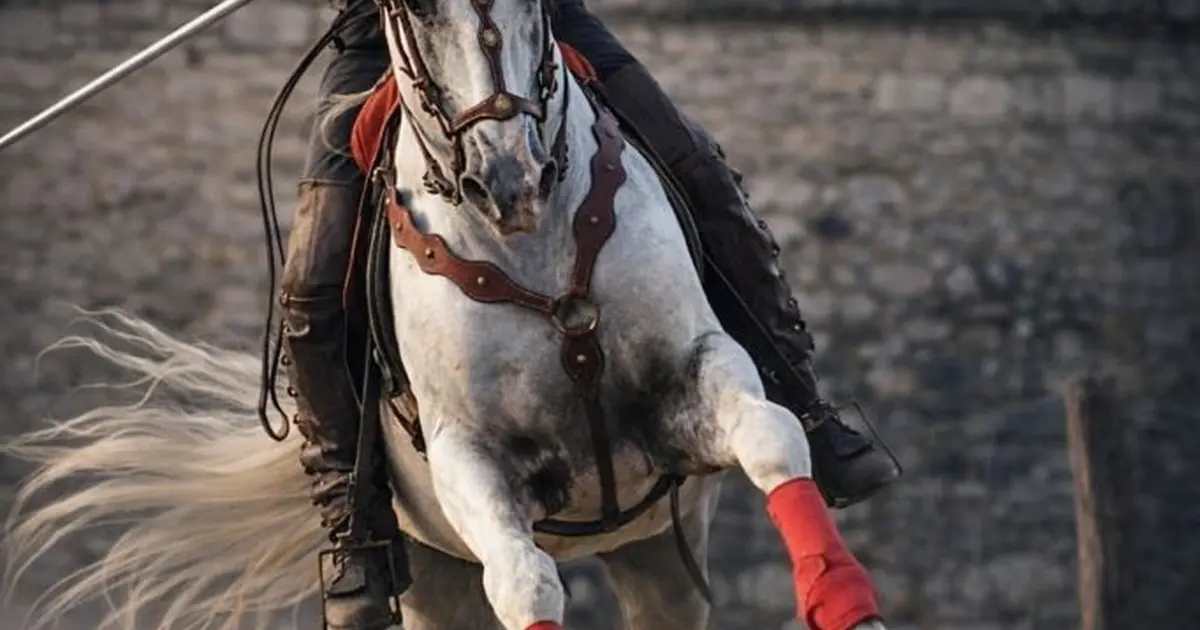 La Guinguette Equestre