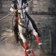 La Guinguette Equestre