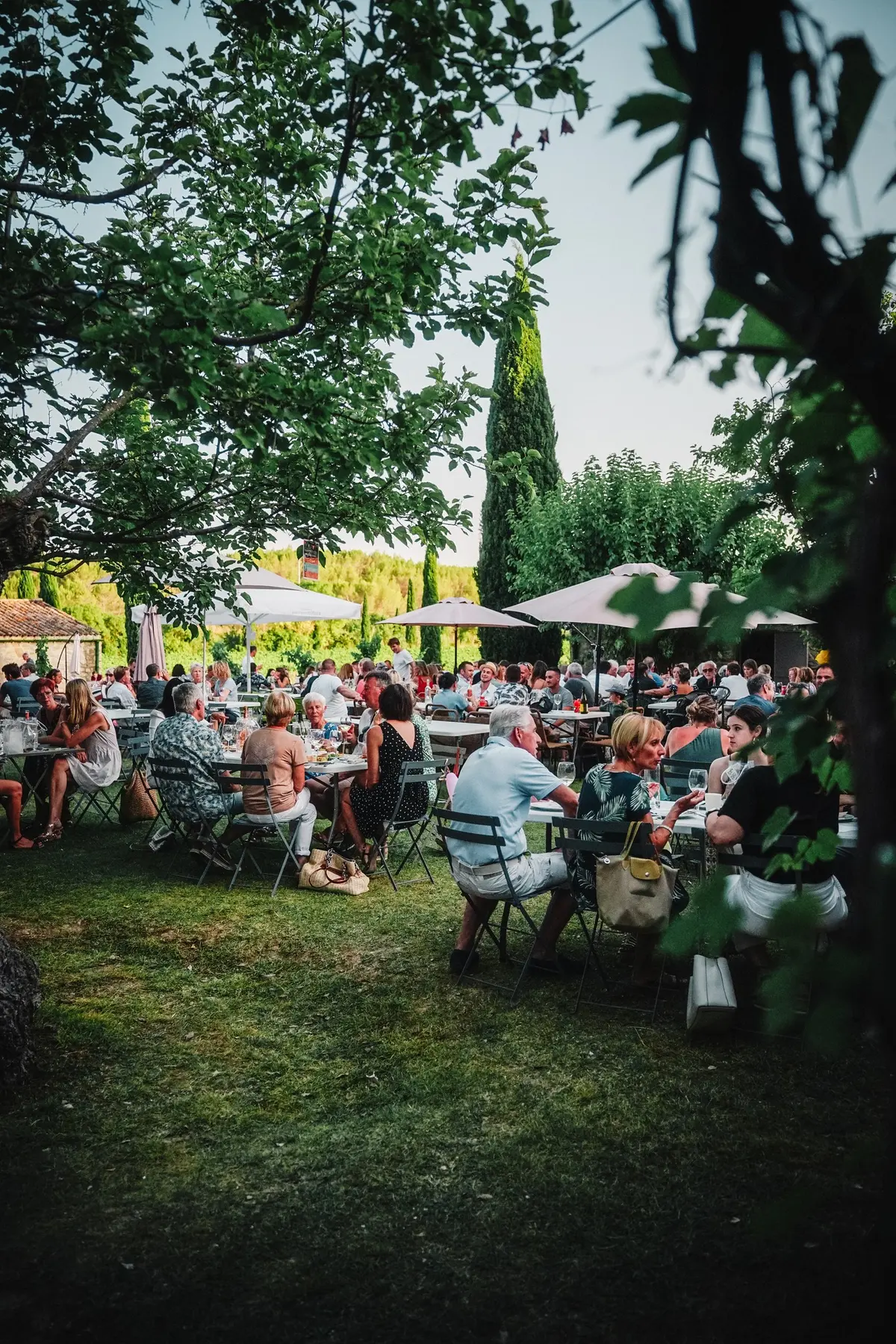 La Guinguette Tout en Rosé - Les Jeudis Guinguettes