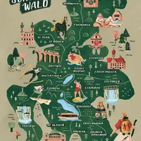 La Haute Forêt-Noire - 6 conseils pour vos vacances en famille DR