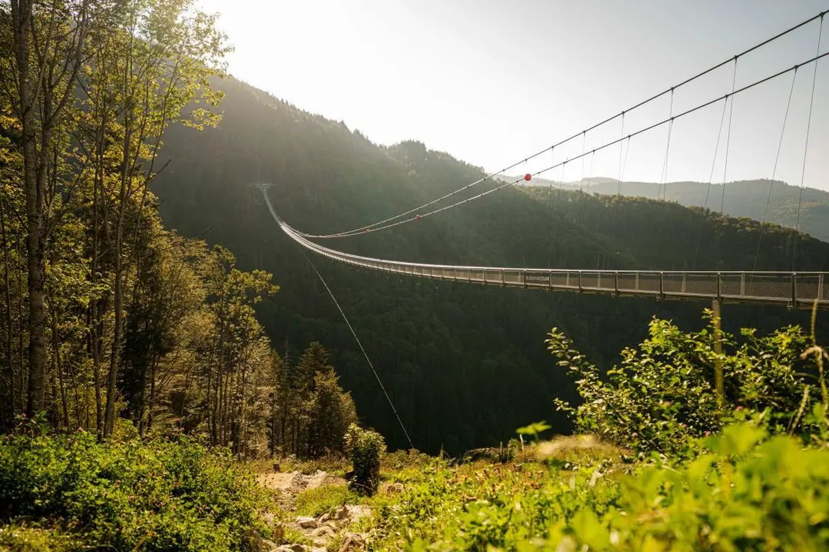 Le Pont suspendu Blackforestline dans les montagnes de Todtnau
