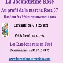 La Jocondienne rose