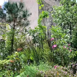 La Jungle intérieur