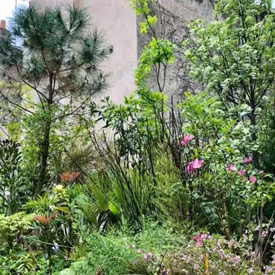 La Jungle intérieur