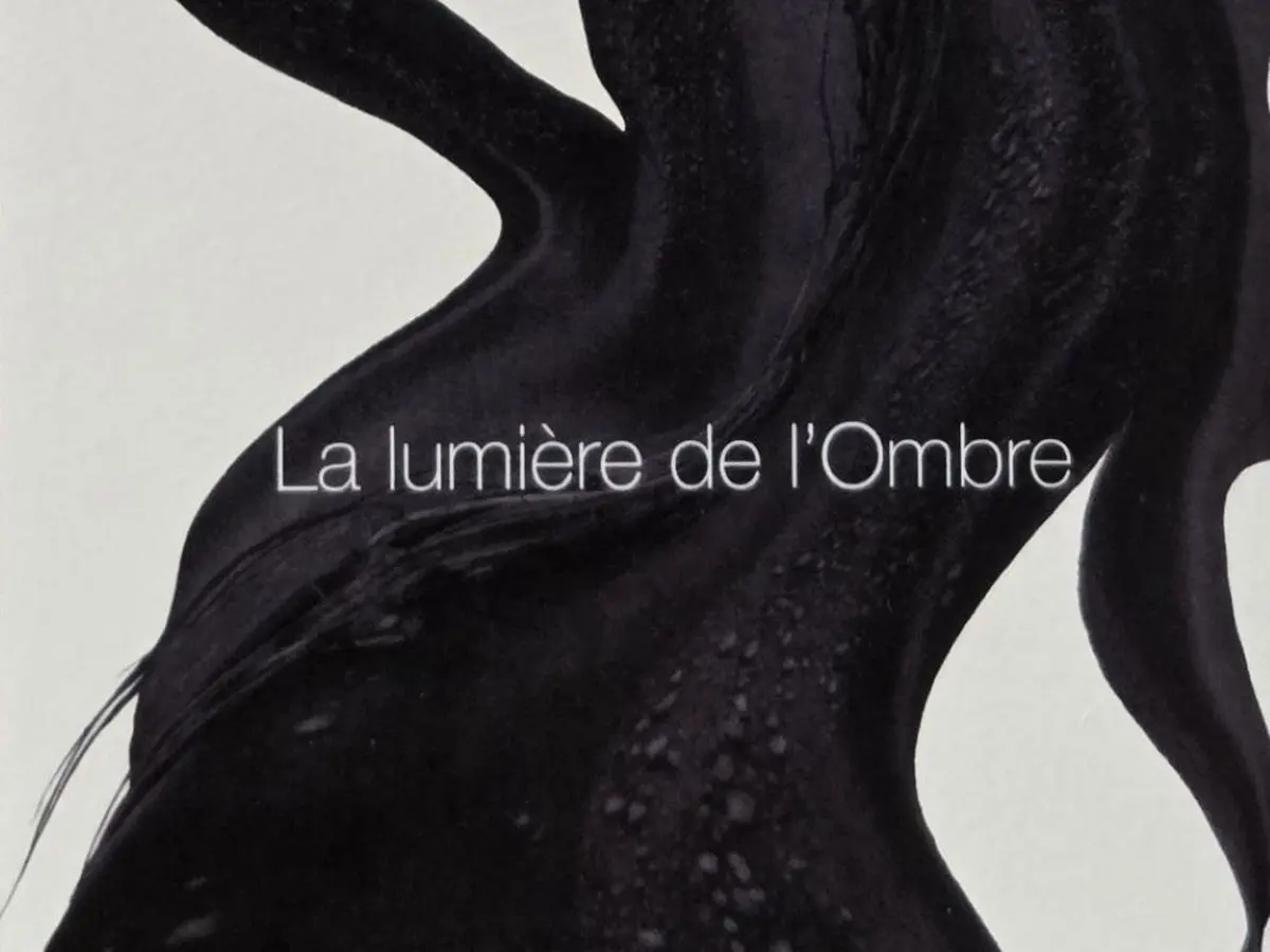 La Lumière De L'Ombre (matières Noires)