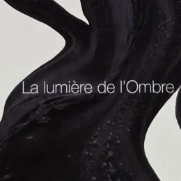 La Lumière De L'Ombre (matières Noires)
