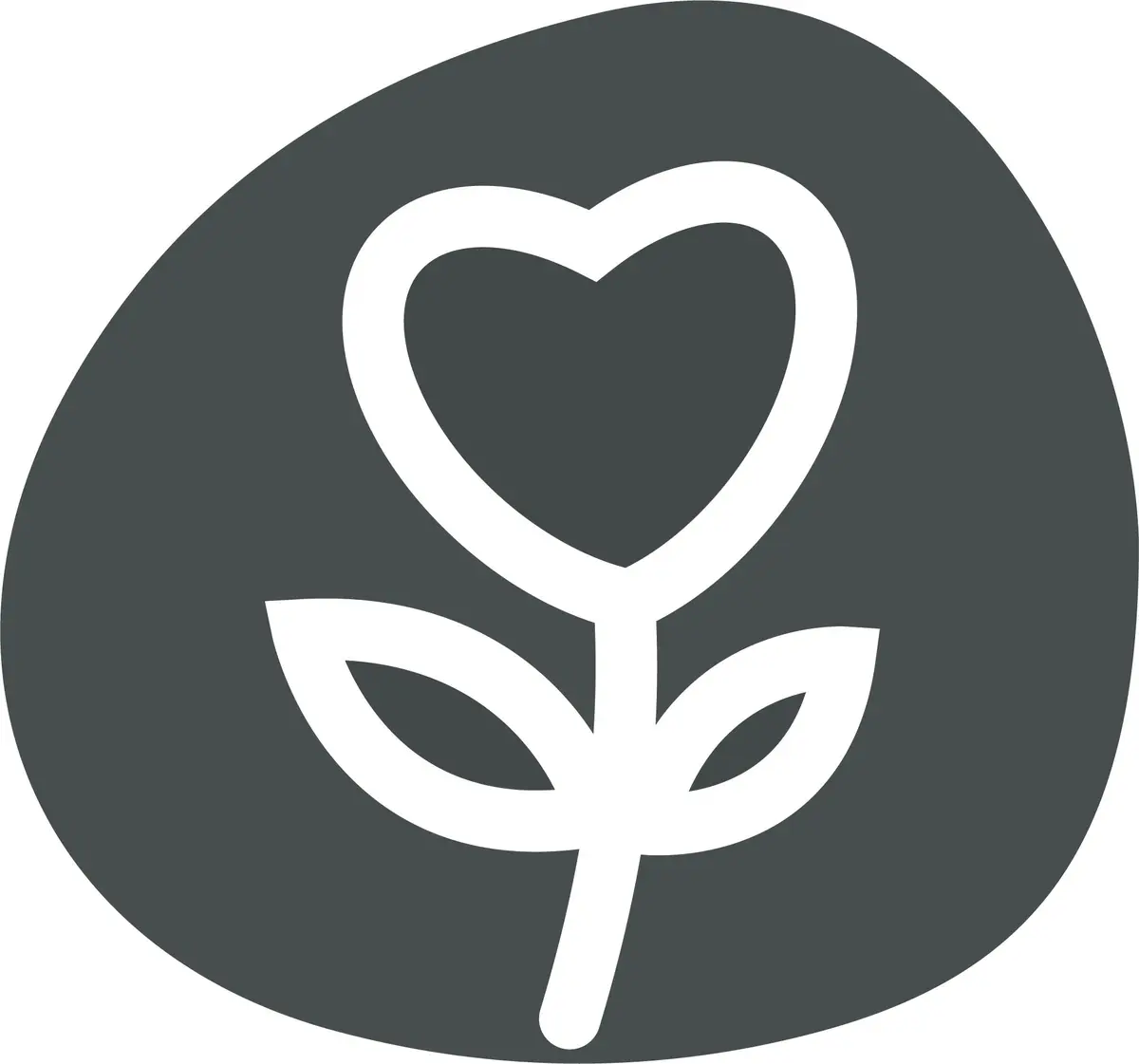 La magie de Noël dans les jardineries d'Altkirch, Cernay et Sierentz