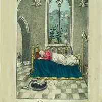 La Belle au bois dormant DR