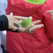 La magie des plantes : se préparer à l'hiver en douceur