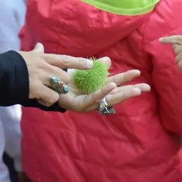 La magie des plantes : se préparer à l'hiver en douceur