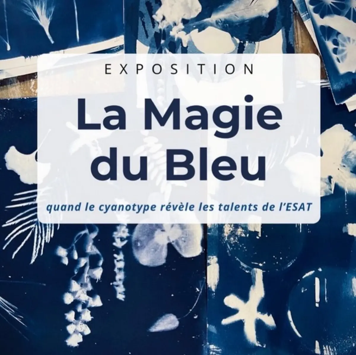 « La Magie Du Bleu » Exposition De Fani Kosti