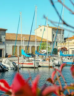 La Maison Noilly Prat - Musée - Bar - Boutique