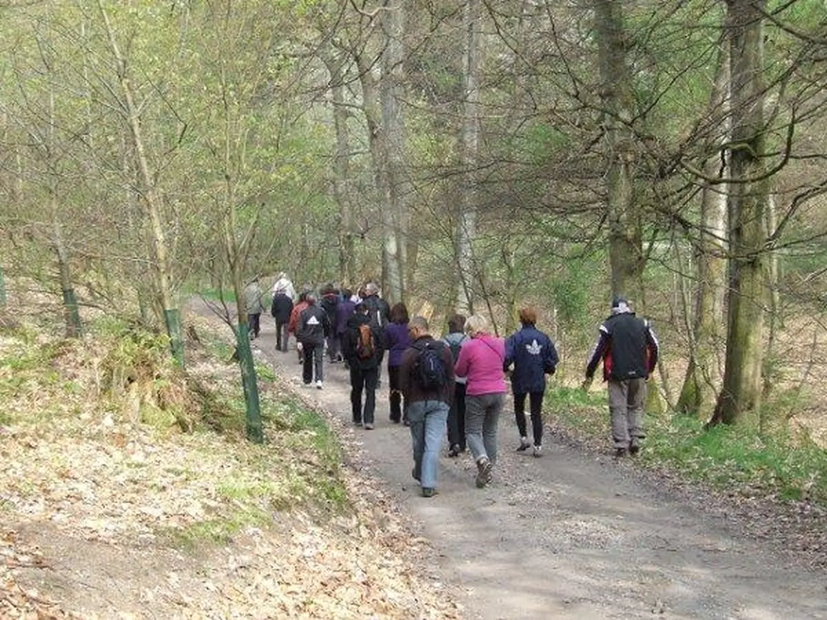 La Marche en Or