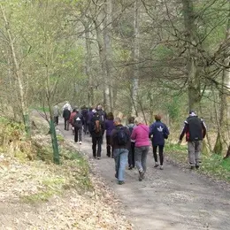 La Marche en Or