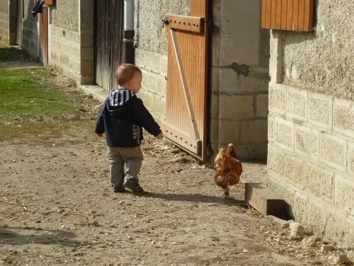 La matinée des bébés, histoire et exploration des cabanes