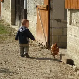 La matinée des bébés, histoire et exploration des cabanes