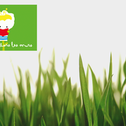 La médiathèque Hélène Berr hors les murs | BHLM 2026