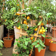 La Méditerrannée sur votre terrasse
