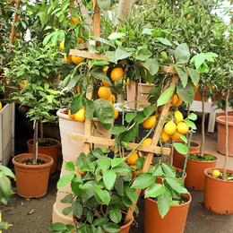 La Méditerrannée sur votre terrasse