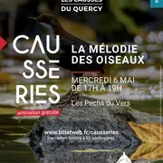 La mélodie des oiseaux