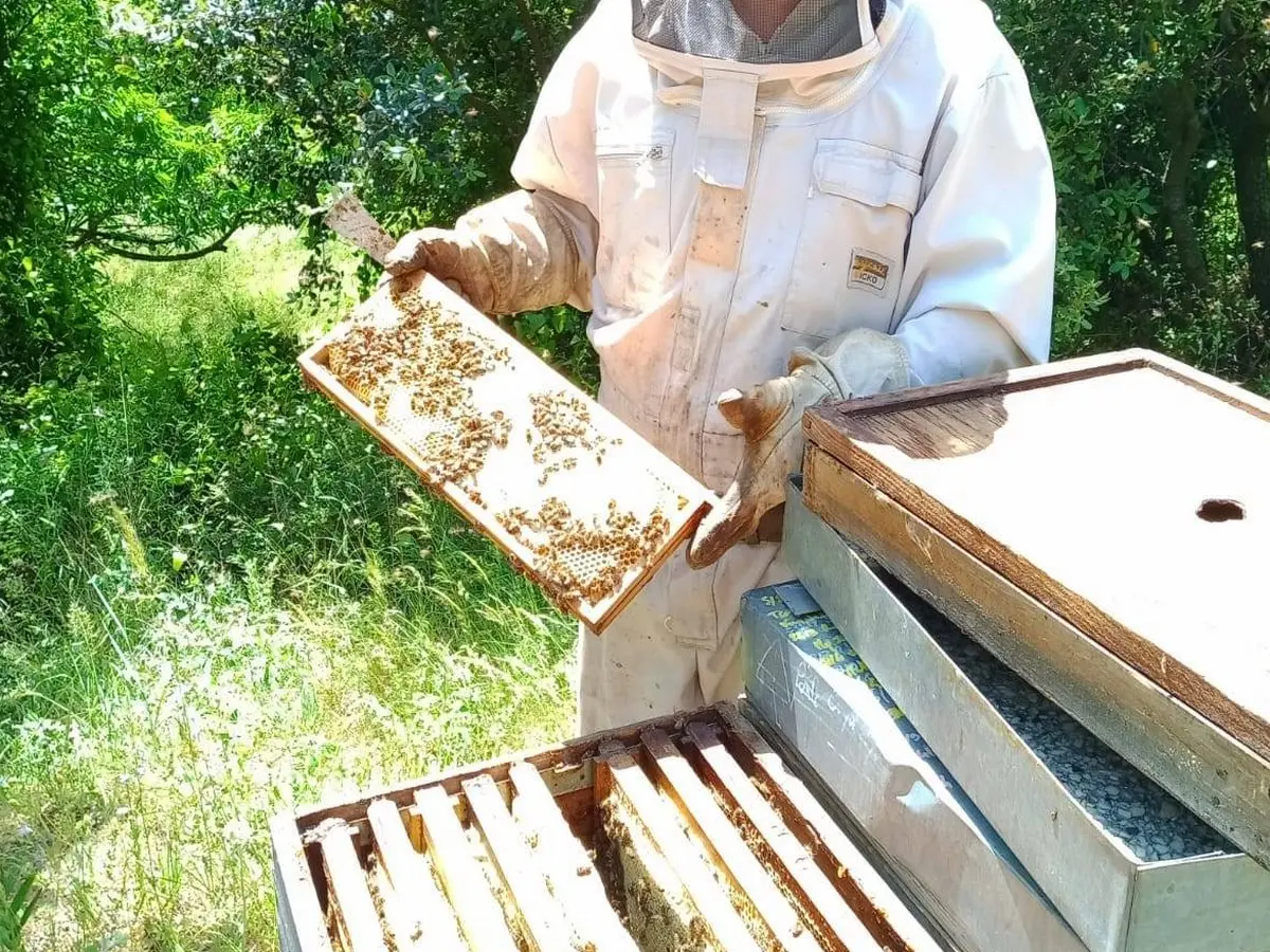 La Miellerie - De Ferme En Ferme En Val De Dagne