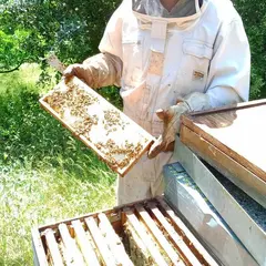 La Miellerie - De Ferme En Ferme En Val De Dagne