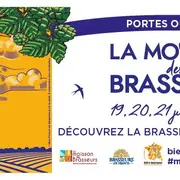 La Moisson des Brasseurs : visites et dégustations dans les brasseries du Grand Est