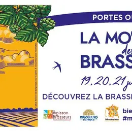 La Moisson des Brasseurs : visites et dégustations dans les brasseries du Grand Est