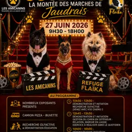 La Montée des marches de Jaudrais