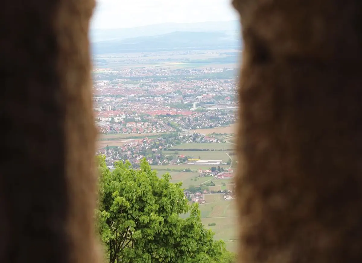 La montée du Château du Hohlandsbourg