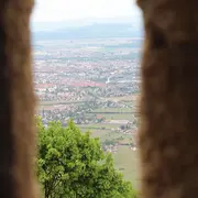 Les meilleurs spots pour aller courir en Alsace